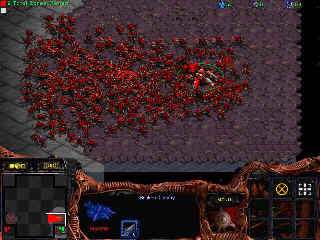 funmap2.bmp (230454 Byte)