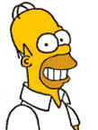 homer.jpg (3633 bytes)