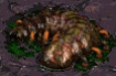 Zerebrat (Zerg)