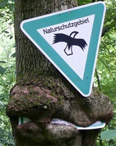 Schild
