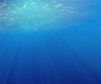 underwater scene